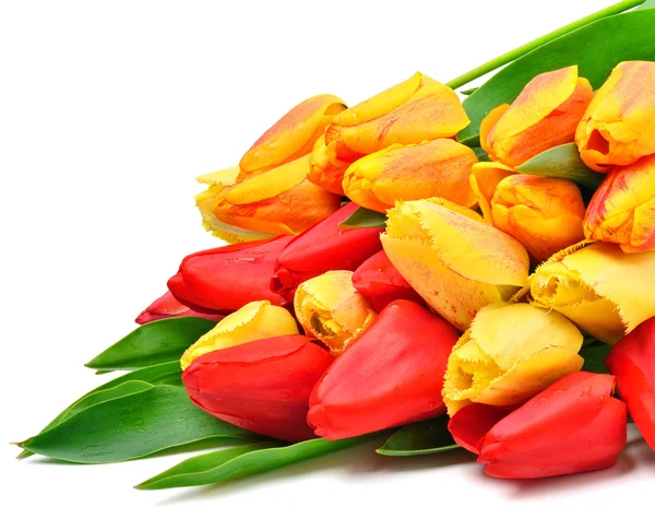 Bouquet de tulipes rouges et jaunes fraîches — Photo