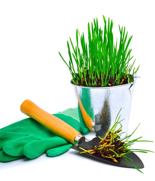 Pala, guantes de goma y maceta de acero con hierba verde —  Fotos de Stock