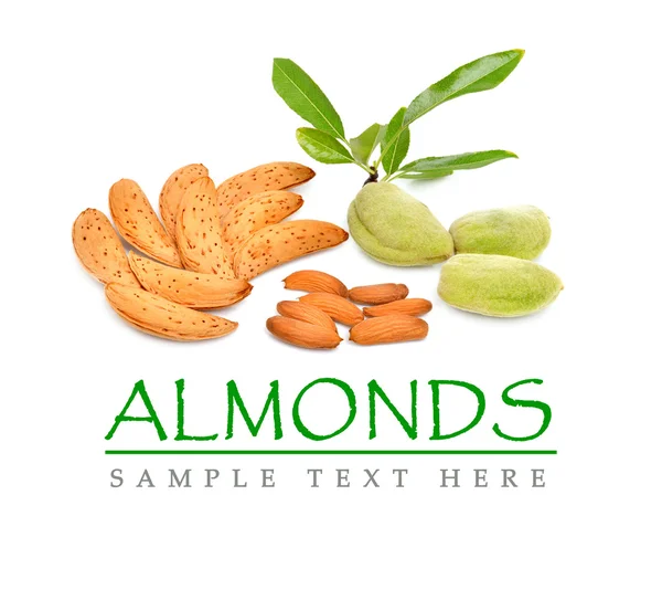 Almonds isolated on the white background — Stock Photo, Image