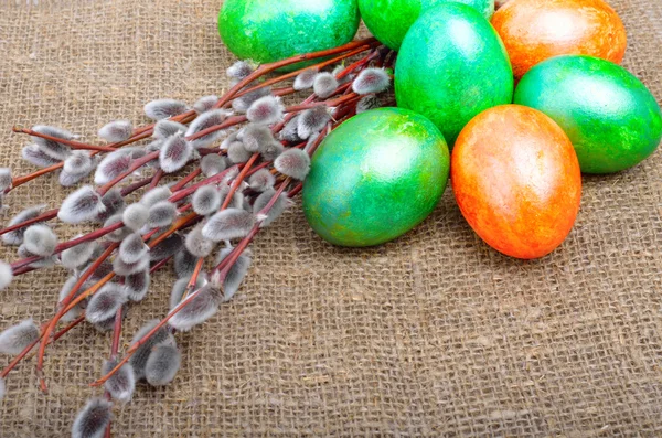Easter green and orange eggs with and willow — Stock Photo, Image