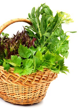 Demet-in farklı kırmızı ve yeşil kıvırcık marul, su-tere, SPI