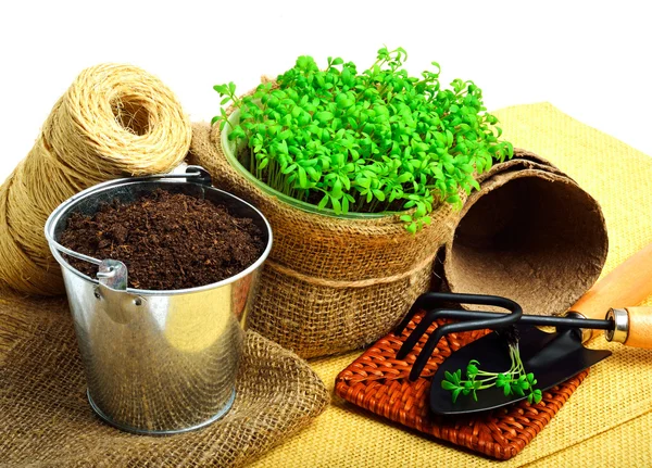 Cress salad on the flower bed with rake, shovel, peat cups, rope — Stock Photo, Image