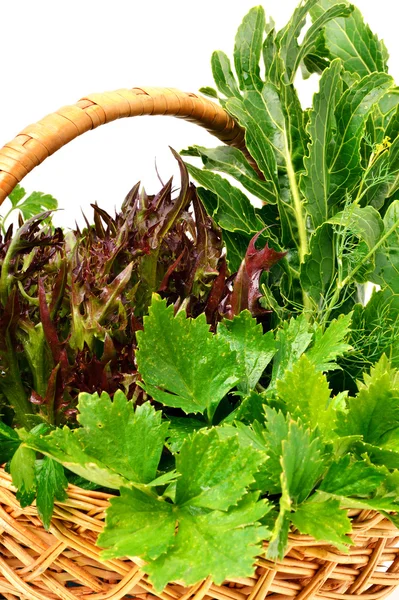 Ramo de diferentes lechugas rizadas rojas y verdes, berros, spi — Foto de Stock