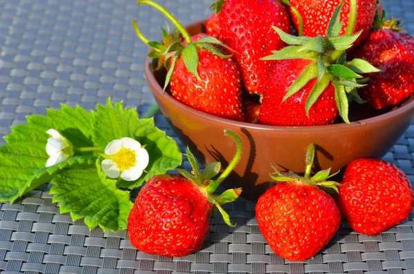 Ripe strawberry in a clay plate — Stock Photo, Image