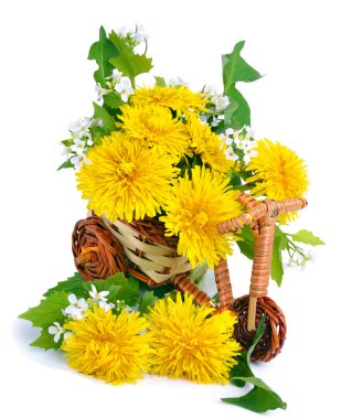 Dendelions dekorasyon izole oyuncak bicysicle