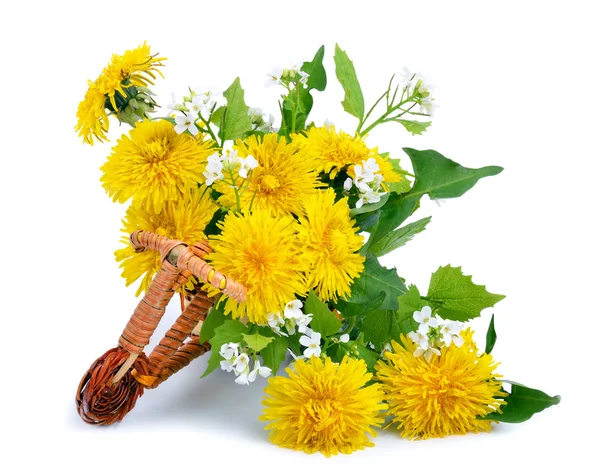 Dendelions décoration dans le jouet bicysicle isolé — Photo