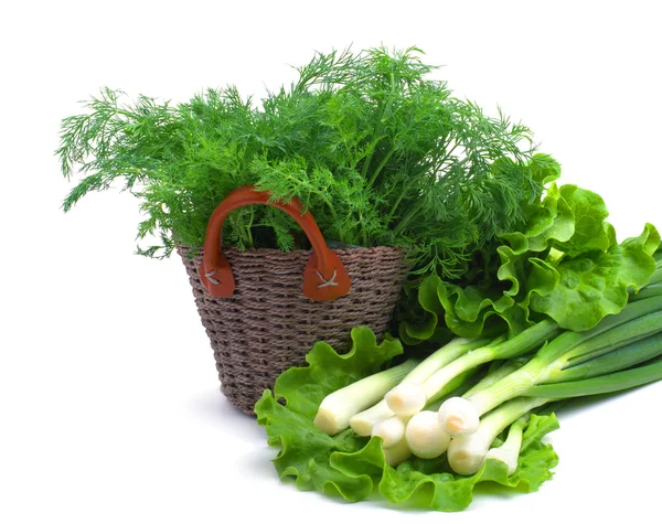 Dill, grüne Zwiebel und lockiger Salat — Stockfoto