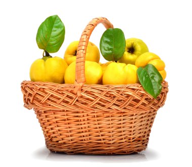 Sepette Beyaz izole Ayva