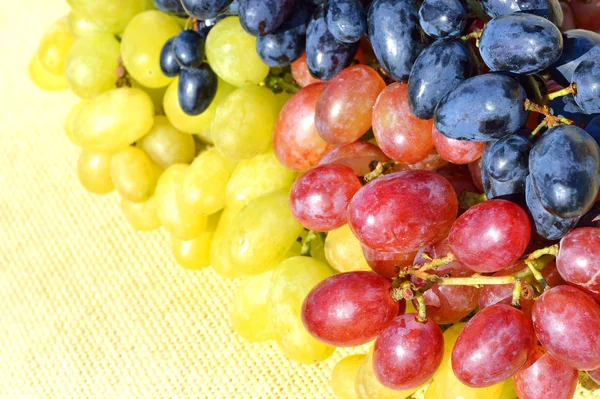 arka plan çuval bezi üzerinde üzüm