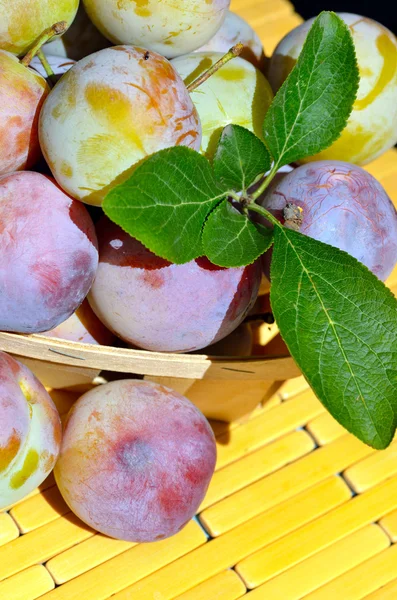 Prugne fresche in un cesto di vimini con foglie verdi — Foto Stock