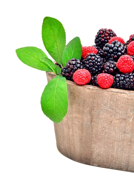 Blackberries and raspberries in the pod isolated on white — Stock Photo, Image