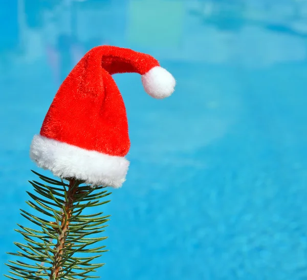 Santa Claus kapelusz na gałęzi świerka — Zdjęcie stockowe
