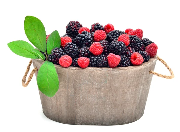 Blackberries and raspberries in the pod isolated — Stock Photo, Image