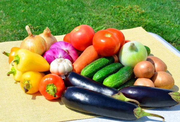 Ripe vegetables on the nature — Stock Photo, Image