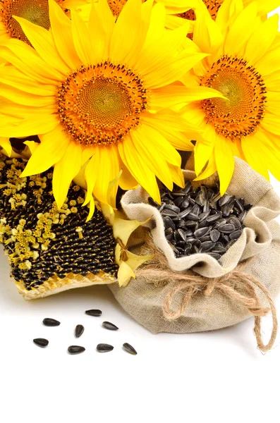 Girassóis e sementes de girassol isolados sobre fundo branco — Fotografia de Stock