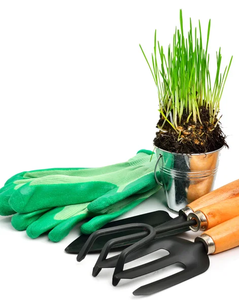 Shovel, rake, rubber gloves, steel pot with green grass — Stock Photo, Image