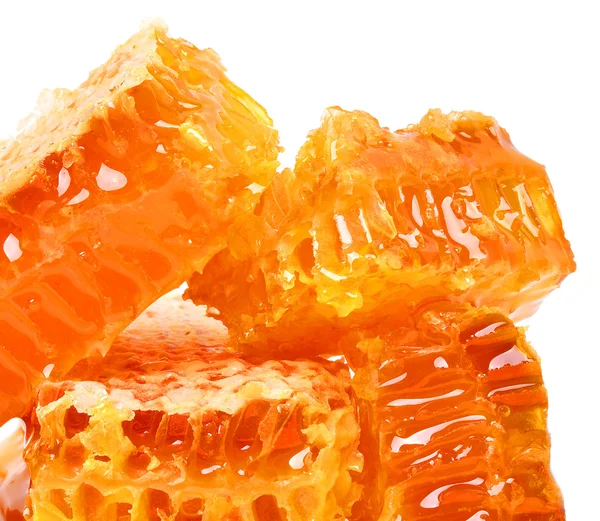 Honeycomb isolated on white background — Stock Photo, Image