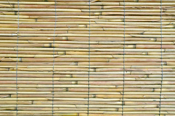 Japanese bamboo texture — Stock Photo, Image