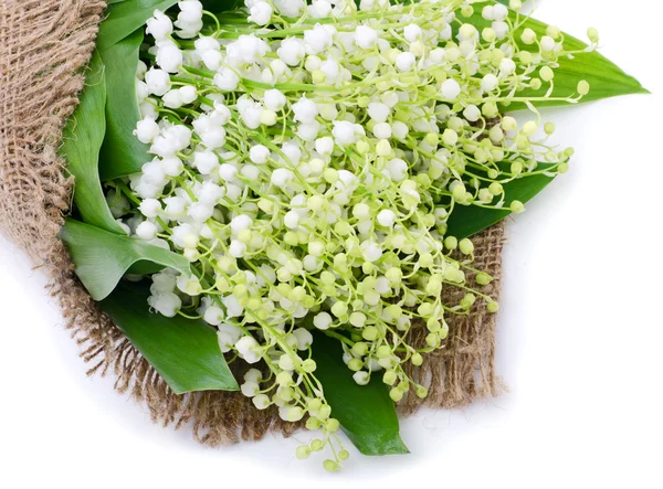 Lilies of the valley on sacking — Stock Photo, Image