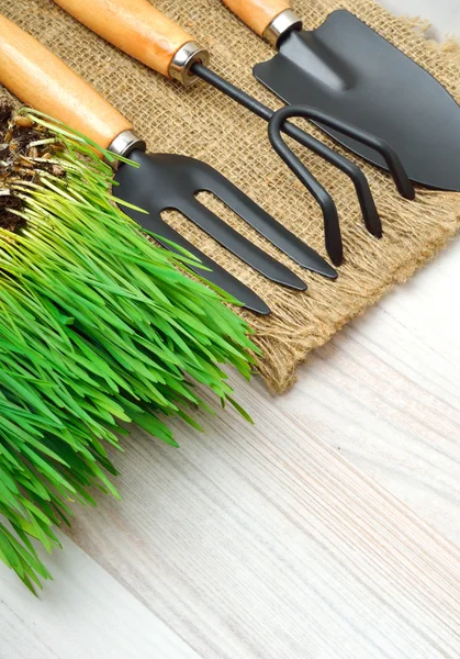 Attrezzi da giardinaggio, erba verde sul saccheggio — Foto Stock