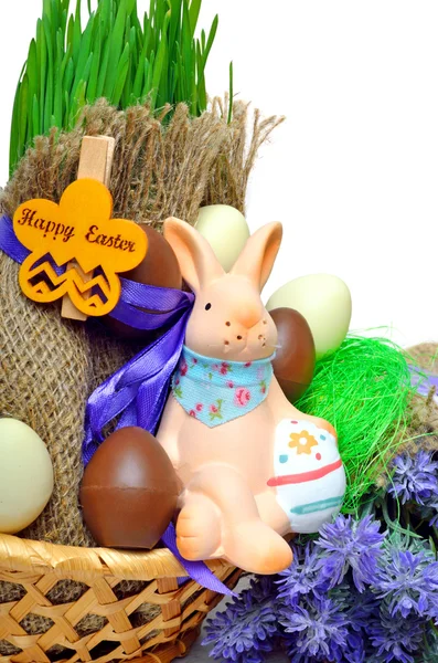 Easter bunny, easter eggs islated on white — Stock Photo, Image