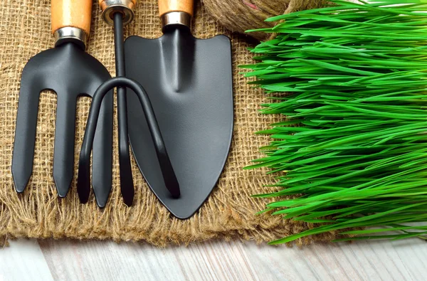 Садовые инструменты, зеленая трава на мешке — стоковое фото