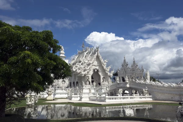 Árvore, Templo Branco . — Fotografia de Stock