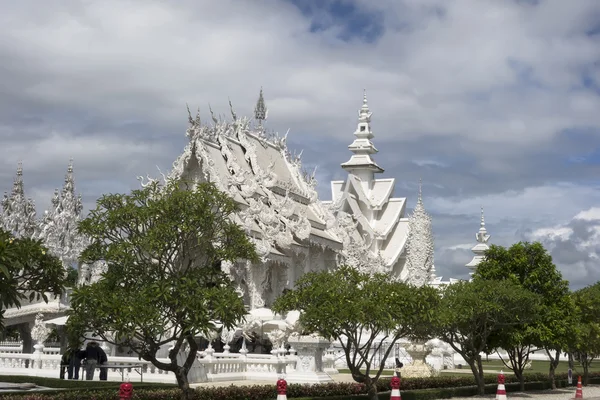 Drzew w pobliżu białej świątyni, Tajlandia Chiang Rai — Zdjęcie stockowe