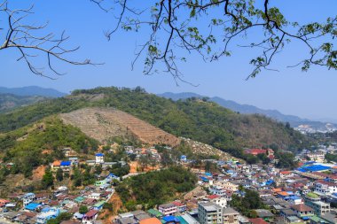 jul sammansättning: bollar, en glitter och en päls-gren.