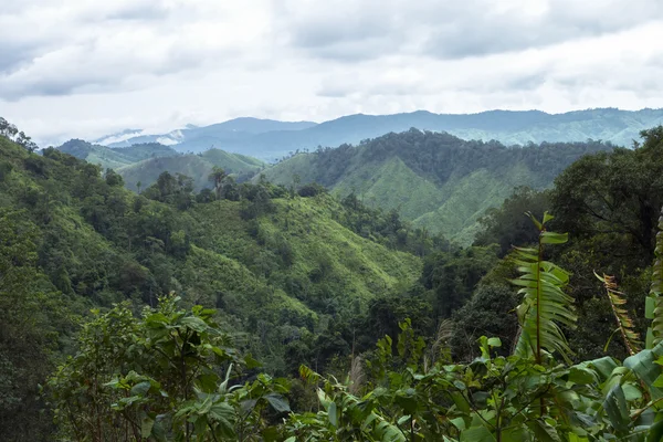 Chong Yen no Parque Nacional Mae Wong Imagem De Stock