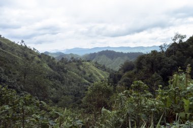 Chong Yen Mae Wong Milli Parkı'nda