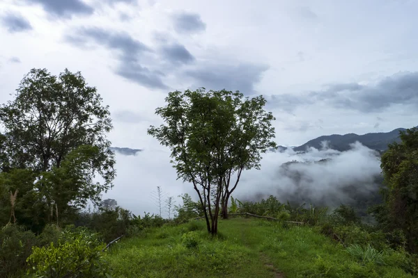 Chong Yen no Parque Nacional Mae Wong — Fotografia de Stock