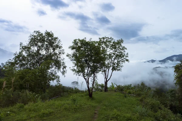 Chong Yen no Parque Nacional Mae Wong — Fotografia de Stock