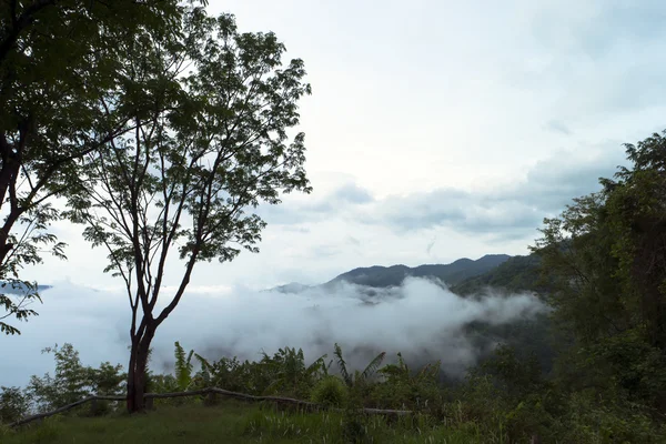 Chong Yen no Parque Nacional Mae Wong — Fotografia de Stock