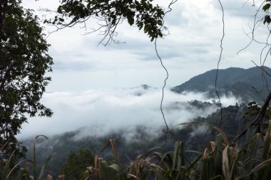 Chong Yen Mae Wong Milli Parkı'nda