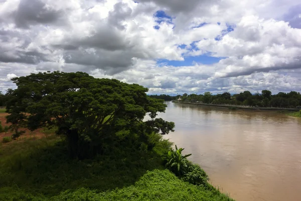 Rivière et arbre Meagara . — Photo