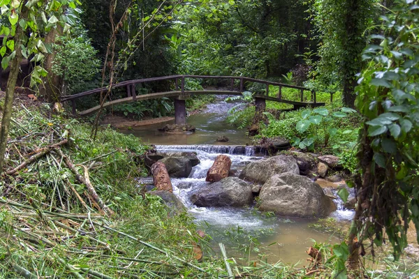 Forest Bridge in de Jungle. — Stockfoto