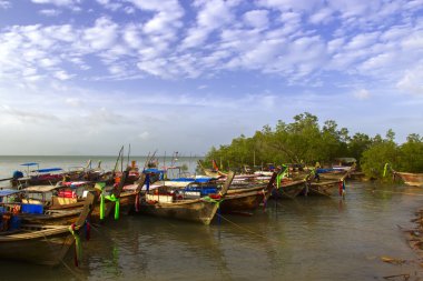 Balıkçılık Körfezi.