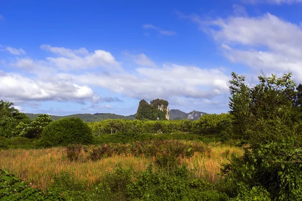 Fields, Hills. — Stock Photo, Image