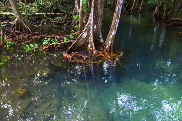 Resplandor en el agua. — Foto de Stock