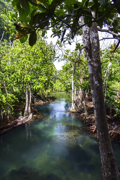 Manera de agua . — Foto de Stock