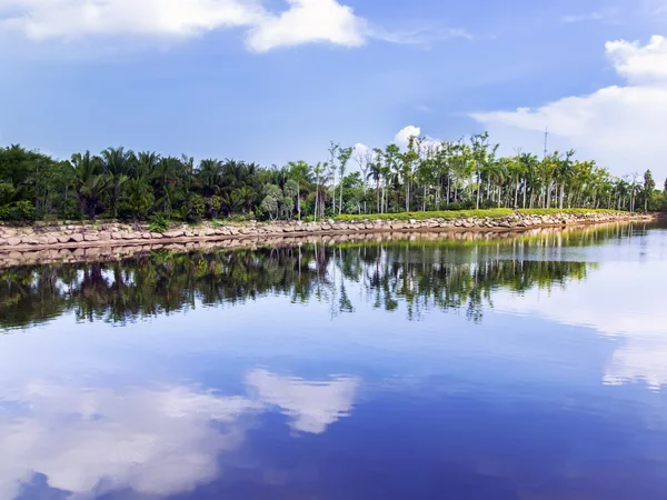 Lagoa. — Fotografia de Stock