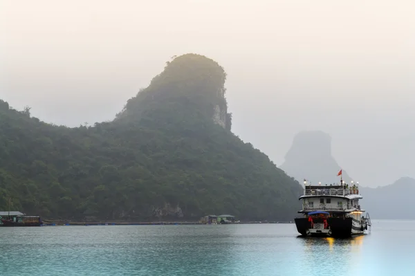 Dans la brume matinale . — Photo