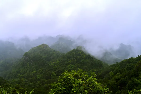 Hill Peak no Parque Nacional Cat Ba . — Fotografia de Stock