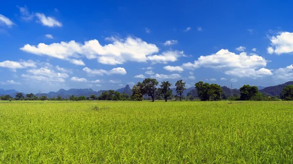 Himmel und Hügel. — Stockfoto