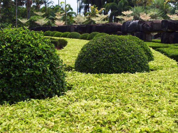 Jardín bien conservado . — Foto de Stock