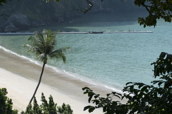 boş plaj. kıyı hattı.