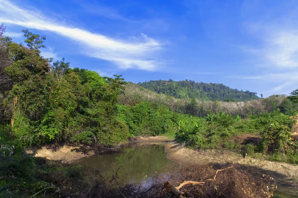 Koh Mook Peak Pond. — Stock Photo, Image