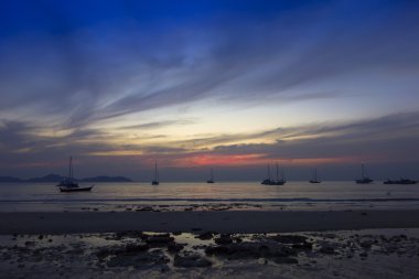 İyi geceler. Düşük Tide.