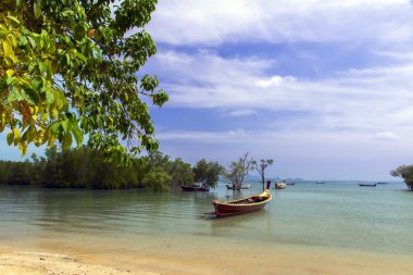 Longtail tekneleri mangrov ağaçlarıyla.